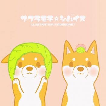 柴犬イラスト桜餅